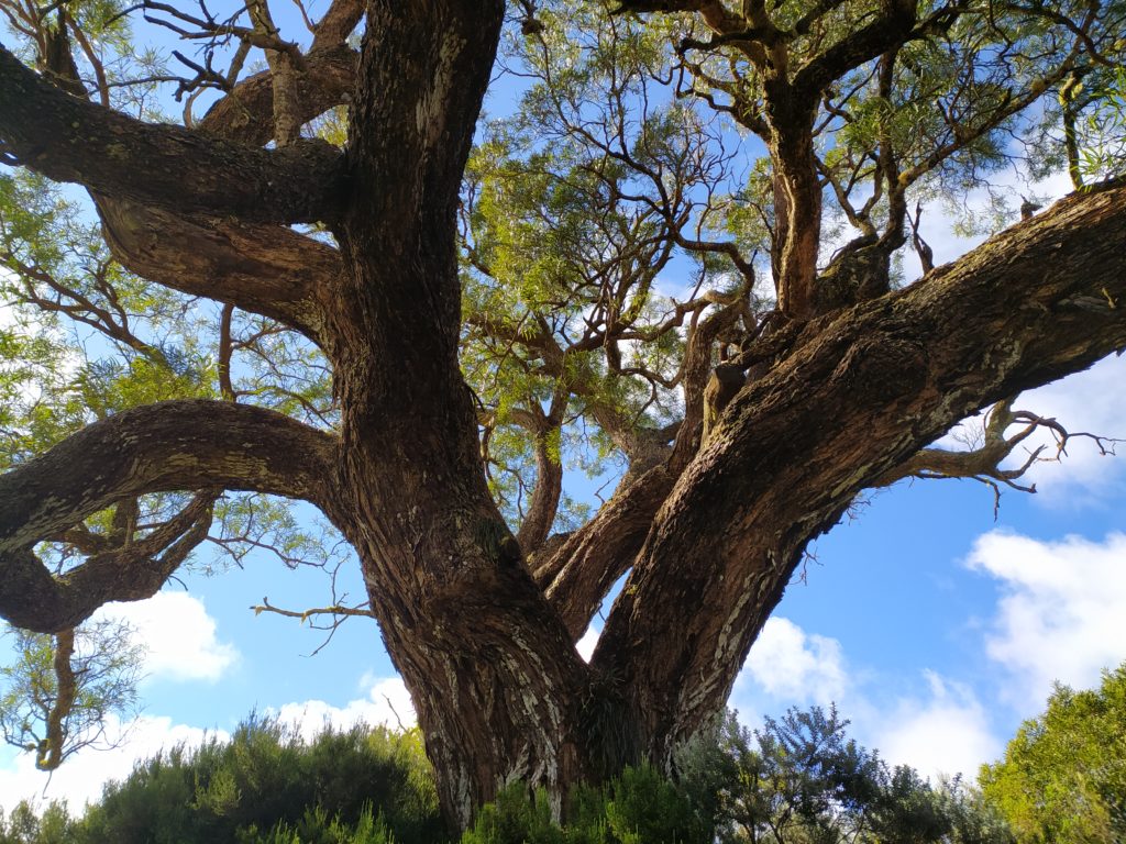 Concept tourisme durable, ile de la Réunion